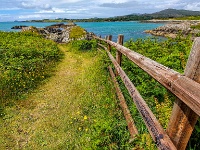 Co. Cork